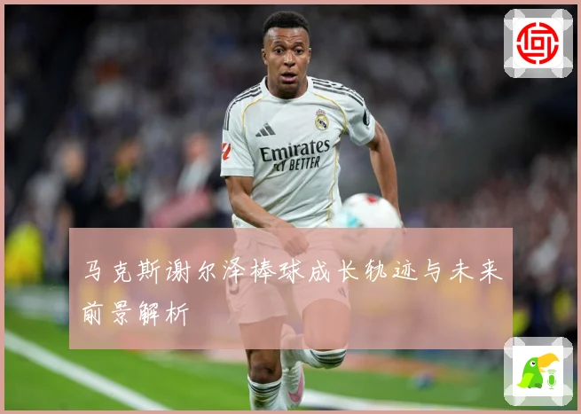 马克斯谢尔泽棒球成长轨迹与未来前景解析