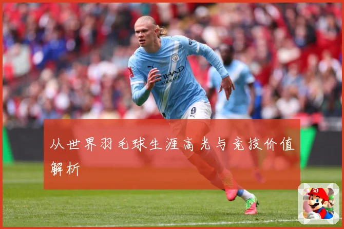 从世界羽毛球生涯高光与竞技价值解析