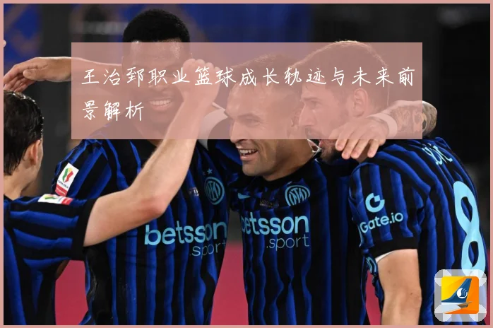 王治郅职业篮球成长轨迹与未来前景解析