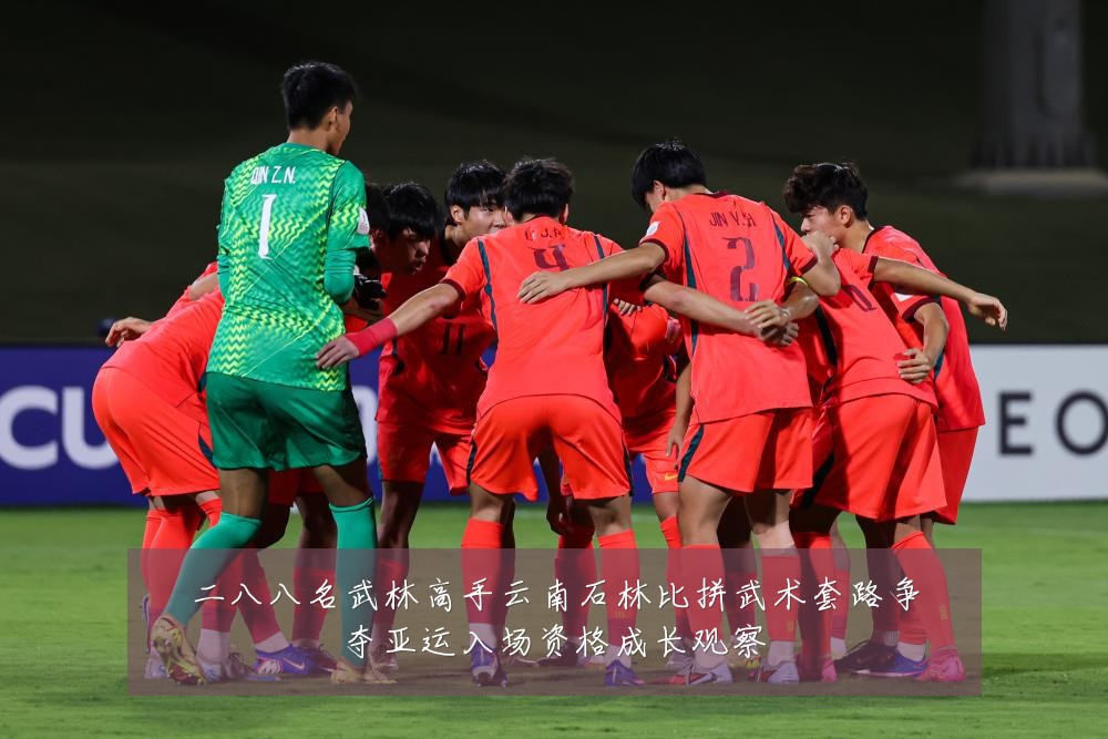 二八八名武林高手云南石林比拼武术套路争夺亚运入场资格成长观察
